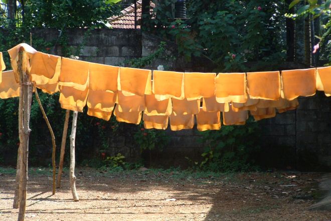 Indien-Gummi trocknen