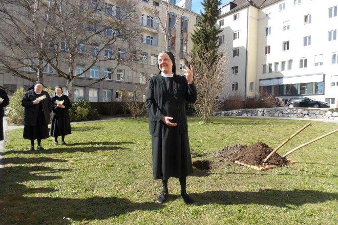 2019_03_21_Baumpfanzen_6