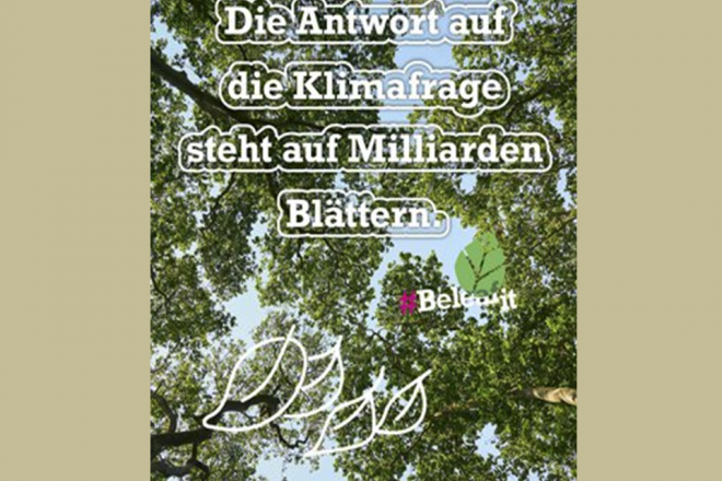 2019 Plant for the Planet Baum2 Folie1