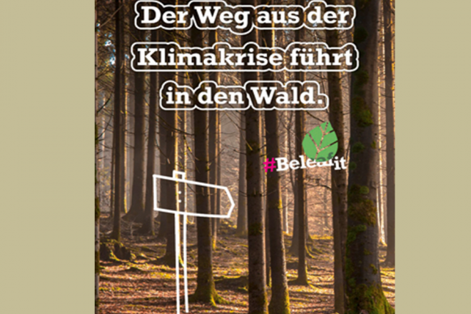 2019 Plant for the Planet Baum2 Folie3