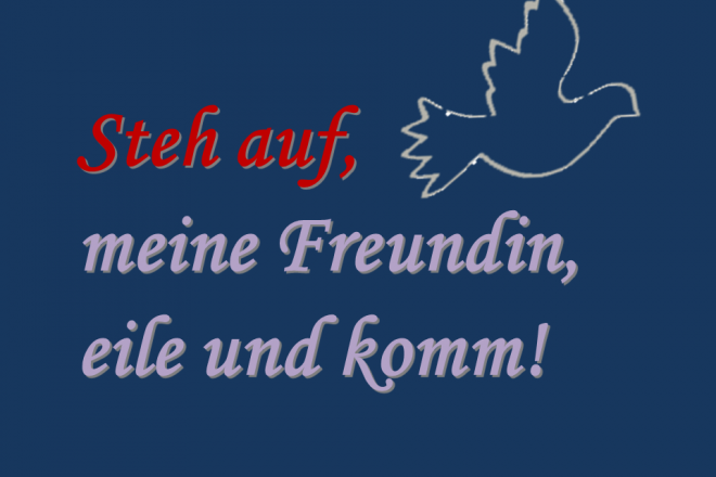 2020 02 Priorats WE Taube