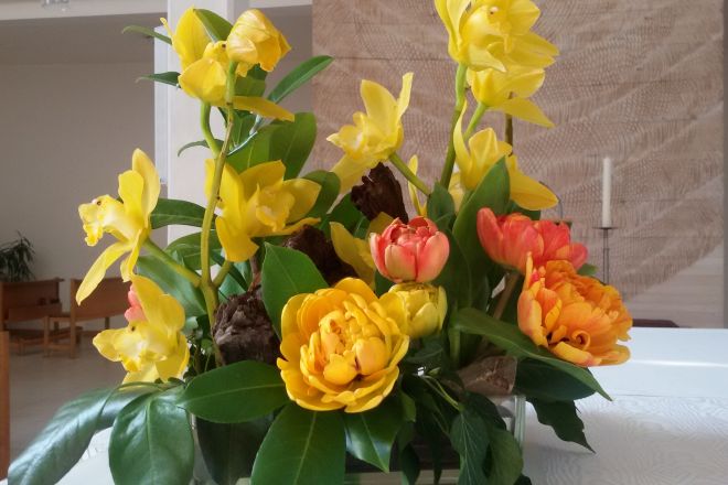 2020 04 Profess Sr Paulina 5