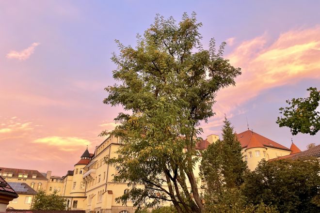 2023 10 YEBW IMG 6092