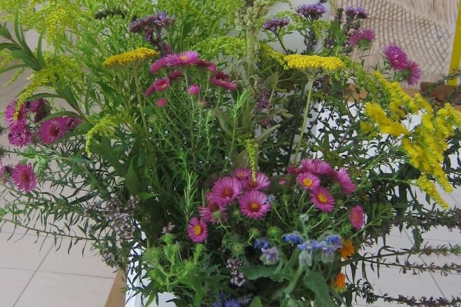 2025 08 15 70 Jahre Profess Sr Alinda 2