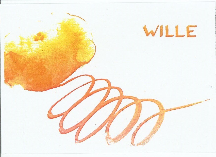 2024 Ka Z Wille