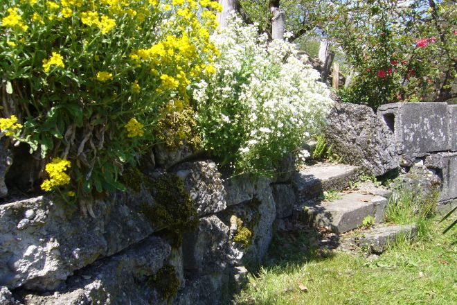 Bernried Garten1