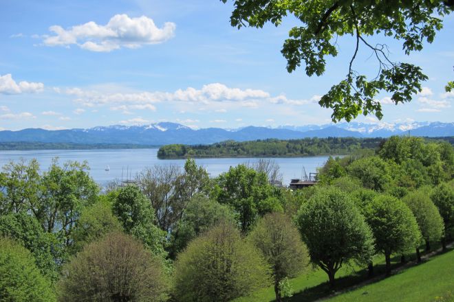 Allee 2012 05 10 Srs 046