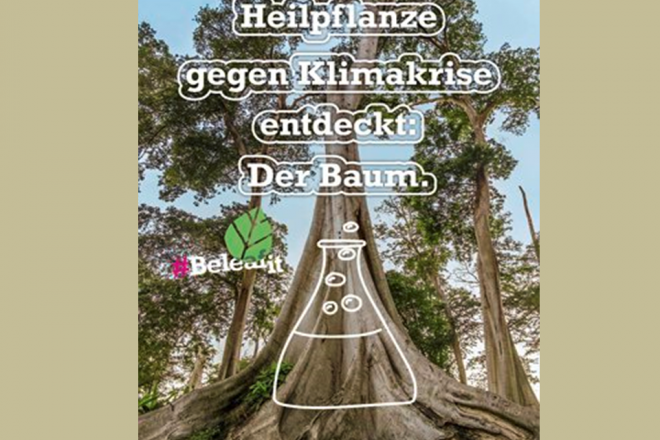 2019 Plant for the Planet Baum2 Folie2